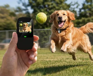 Digital Camera With Bluetooth: How Photos Reach the Phone